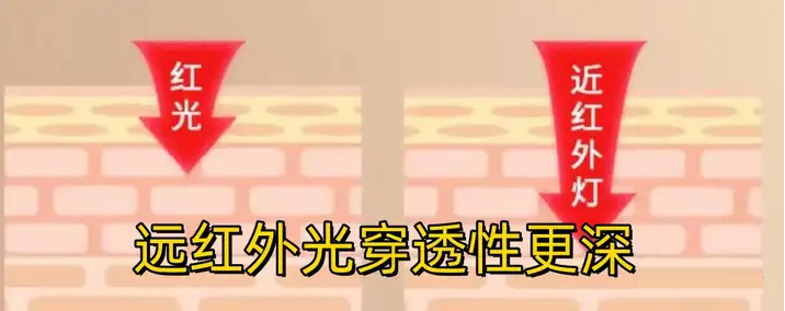 80308605.png 圖片3.png